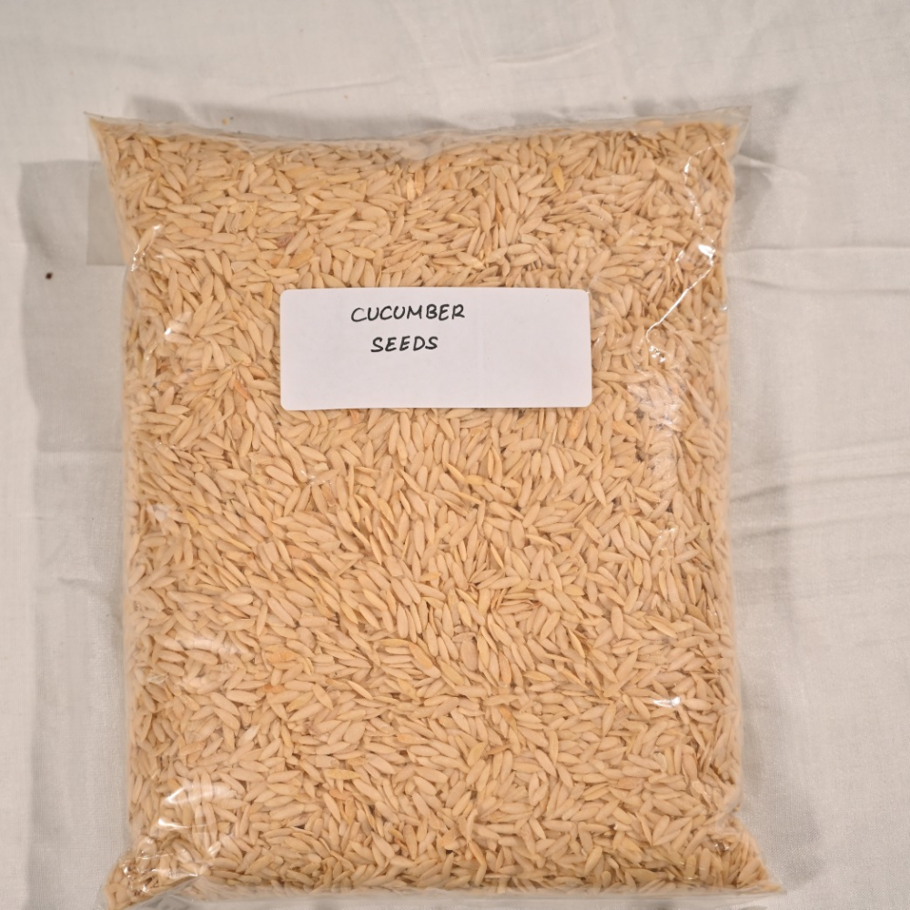 Cucumber Seeds