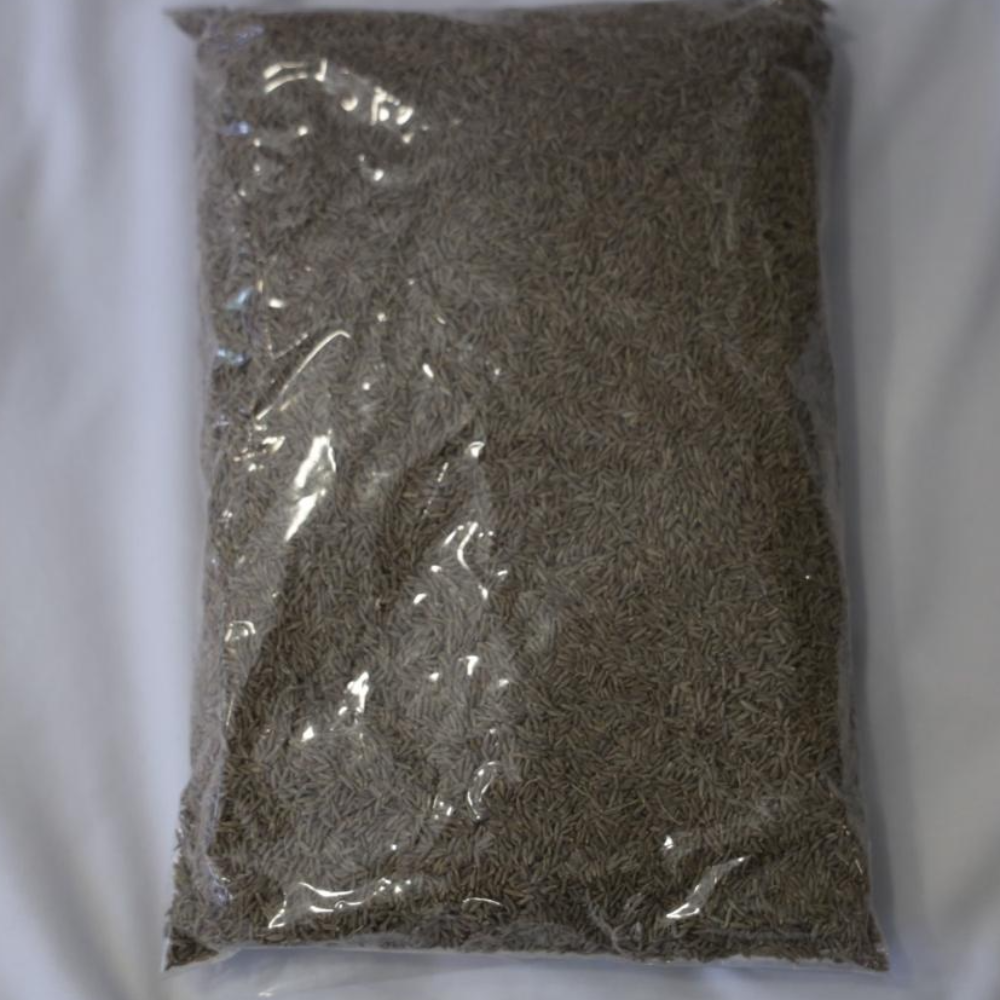Jeera (Cumin Seeds)