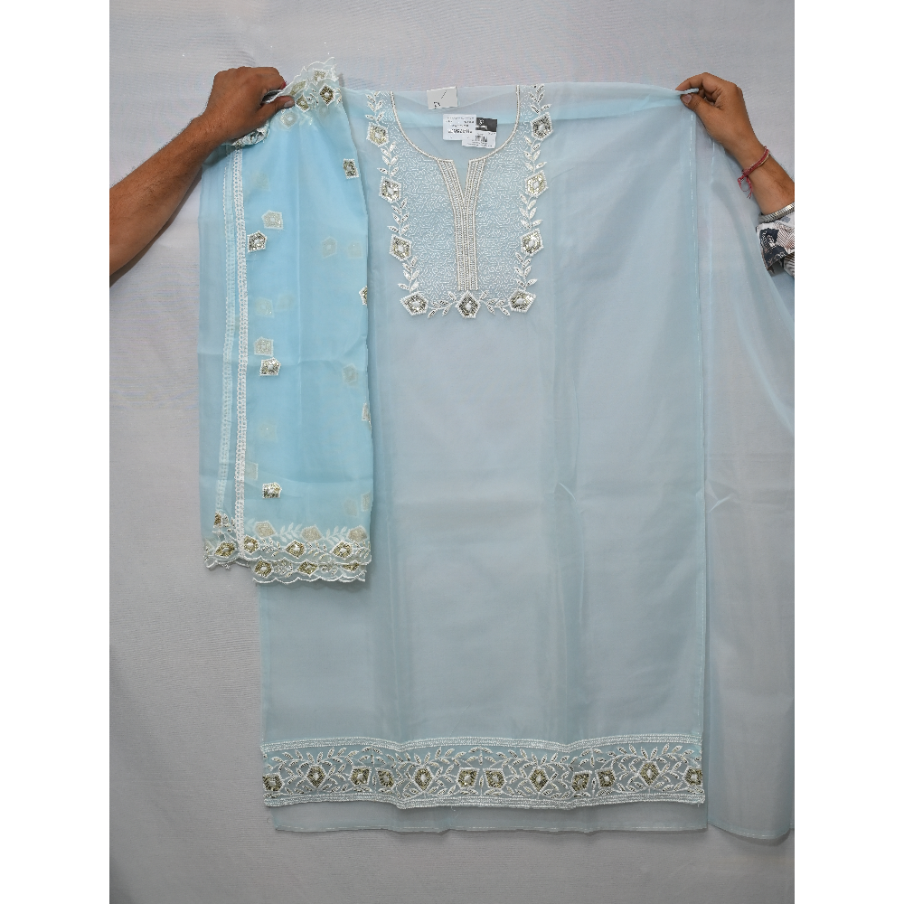 Partywear Punjabi suit